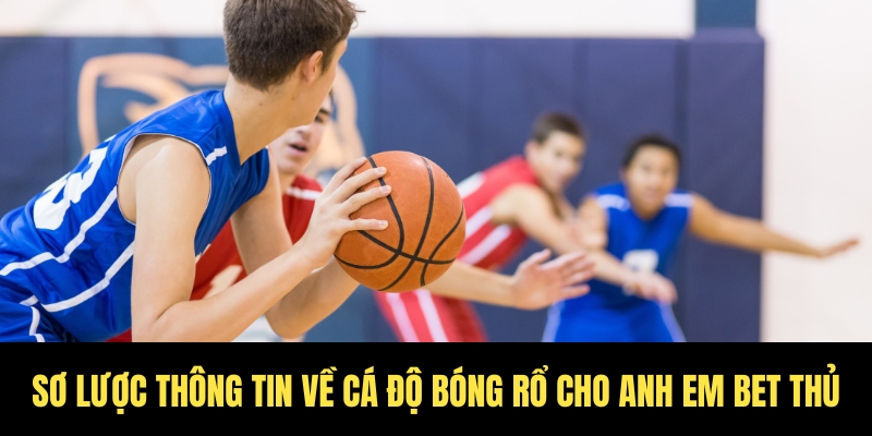 Cá độ bóng rổ King88 kèo thơm, thưởng lớn mỗi ngày 2 Tổng quan về môn cá độ bóng rổ King88