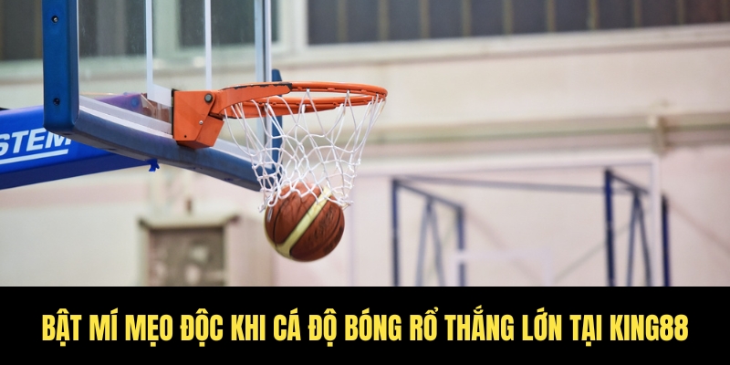 Cá độ bóng rổ King88 kèo thơm, thưởng lớn mỗi ngày 4 Cách để cá độ bóng rổ thắng lớn