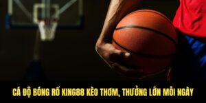 Cá độ bóng rổ