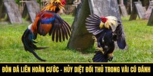 đòn đá liên hoàn cước