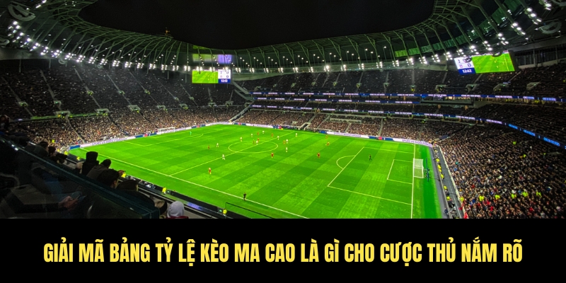 Tỷ lệ kèo ma cao là gì? Mẹo hay từ cược thủ kèo King88 3 Giải thích những ký hiệu tỷ lệ kèo ma cao
